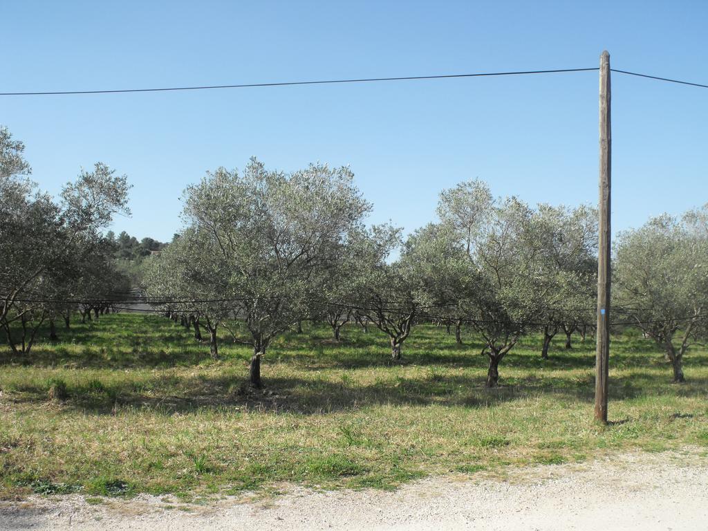 Domaine De La Marseillaise Leilighet La Crau Rom bilde